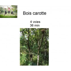 bois carotte