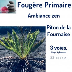 Fougère Primaire au Piton...