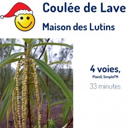 Coulée de Lave 2004 Lutins