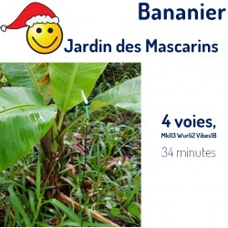 Jardin des Mascarins :...