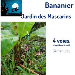 Jardin des Mascarins :...