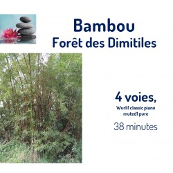 Forêt des Dimitiles Bambou