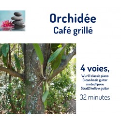 Café Grillé  Orchidée