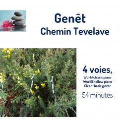 Chemin Tevelave Genêt