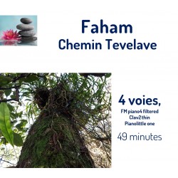 Chemin Tevelave  Faham