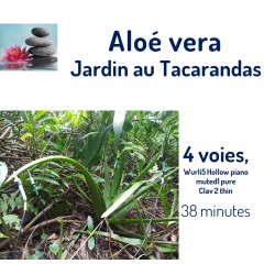 Jardin au Tacarandas  Aloé...