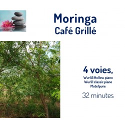 Café Grillé  Moringa