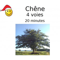 Chêne