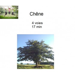 Chêne