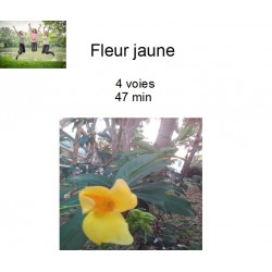 fleur jaune