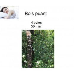 Bois puant