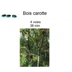 bois carotte